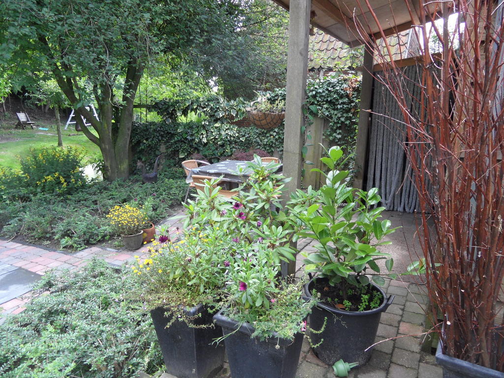 Appartement Regina Garnwerd Cameră foto